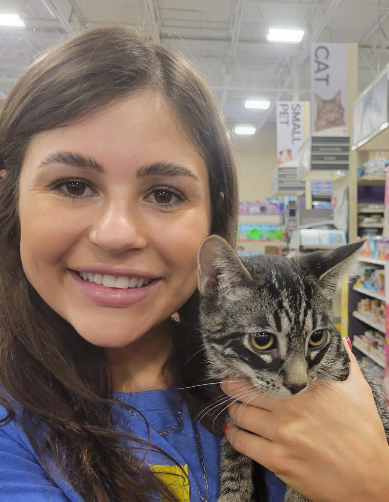 A gray tabby cat with a woman.